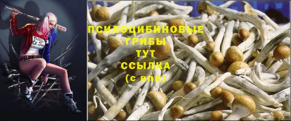 ешки Абаза